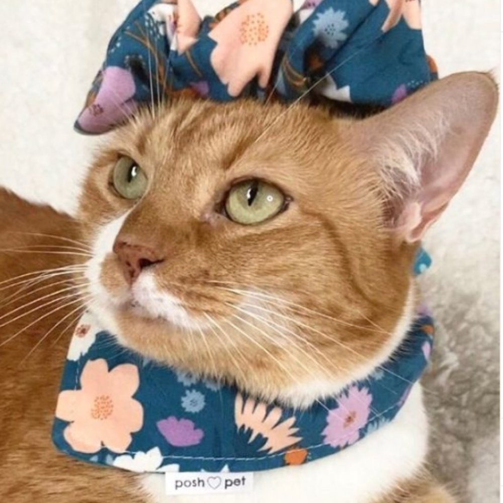 Pet Bandana small dog or cat tie on with matching scrunchie reversible
